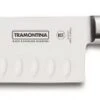 CENTURY - COLTELLO SANTOKU 5'' -Mailgarden Negozio 24020105 01