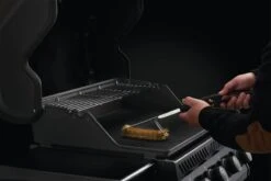 SPAZZOLA IN OTTONE 9 SPAZZOLA IN OTTONE -Mailgarden Negozio 62062 04