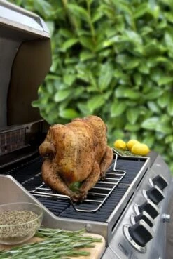 SUPPORTO COTTURA “BEER CAN CHICKEN” DOPPIO (O PER UN TACCHINO) 8 SUPPORTO COTTURA “BEER CAN CHICKEN” DOPPIO (O PER UN TACCHINO) -Mailgarden Negozio CC3118 04