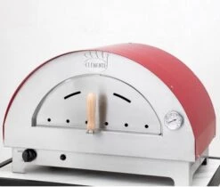 CLEMENTINO A GAS 60X40 - TETTO INOX