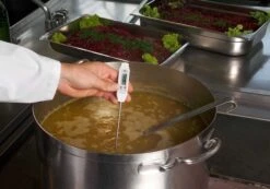 TFA POCKET-DIGITEMP - TERMOMETRO A SONDA DA TASCA 9 TFA POCKET-DIGITEMP - TERMOMETRO A SONDA DA TASCA -Mailgarden Negozio TF301018 04